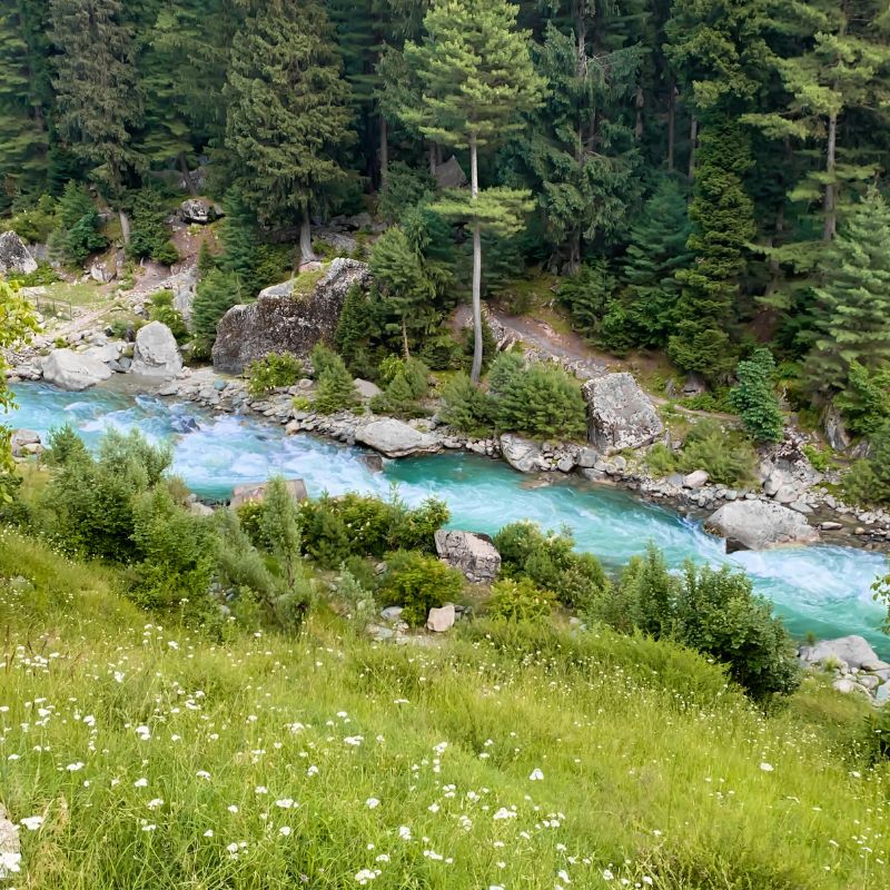 images/insta/Kashmir Tour Package 6 Nights 7 Days 6.jpg
